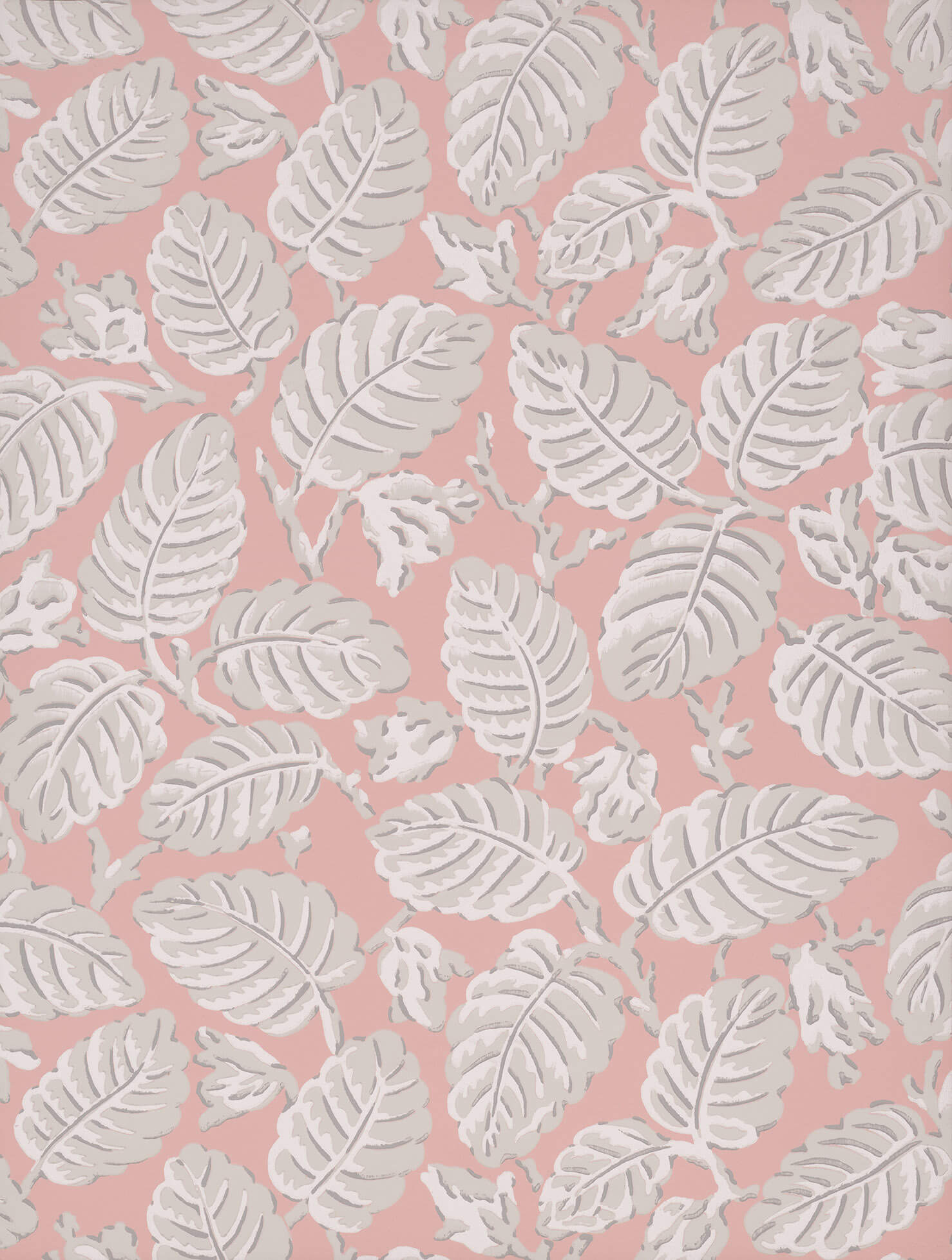 LGNTII_BeechNut_Delicate LR