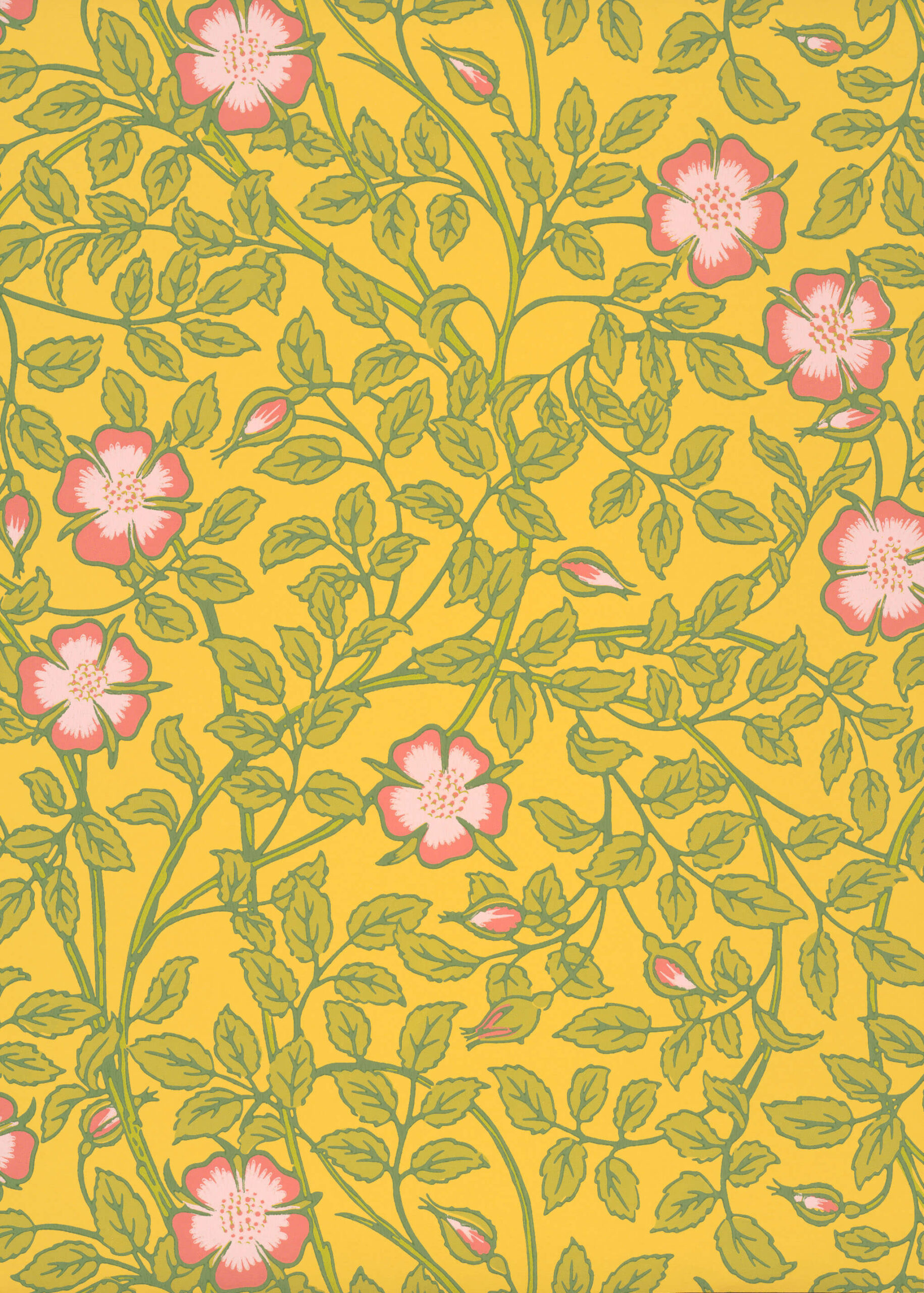 LG_NTIII_Briar Rose_Indian Yellow