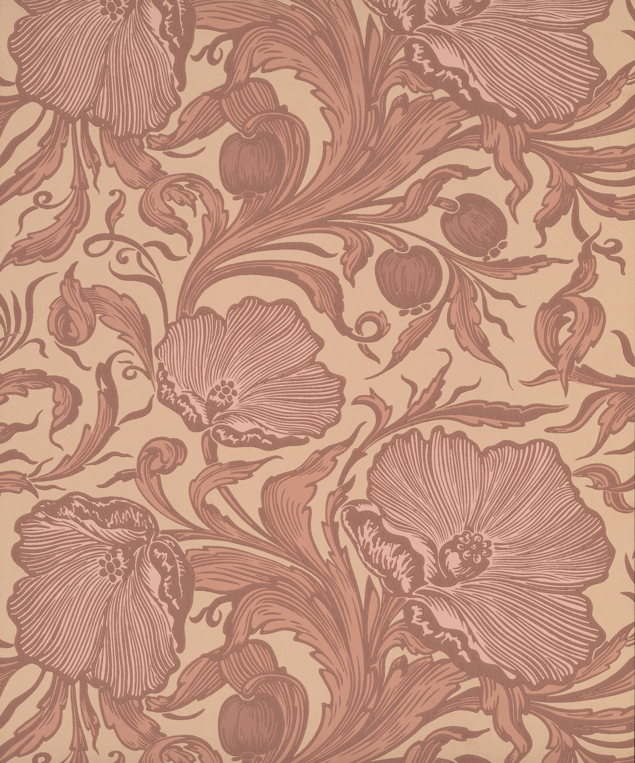 LG_NTIII_Poppy Trail_Masquerade