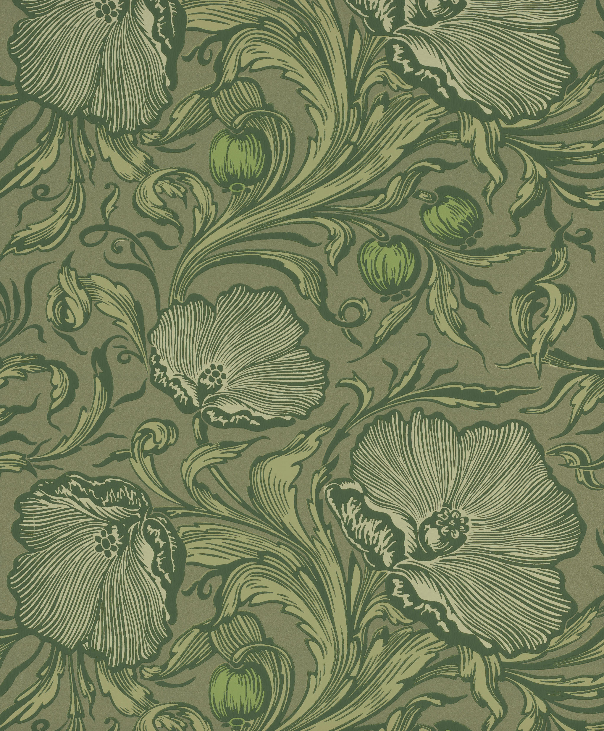 LG_NTIII_Poppy Trail_Sage Green