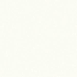 Silent White - Pale™