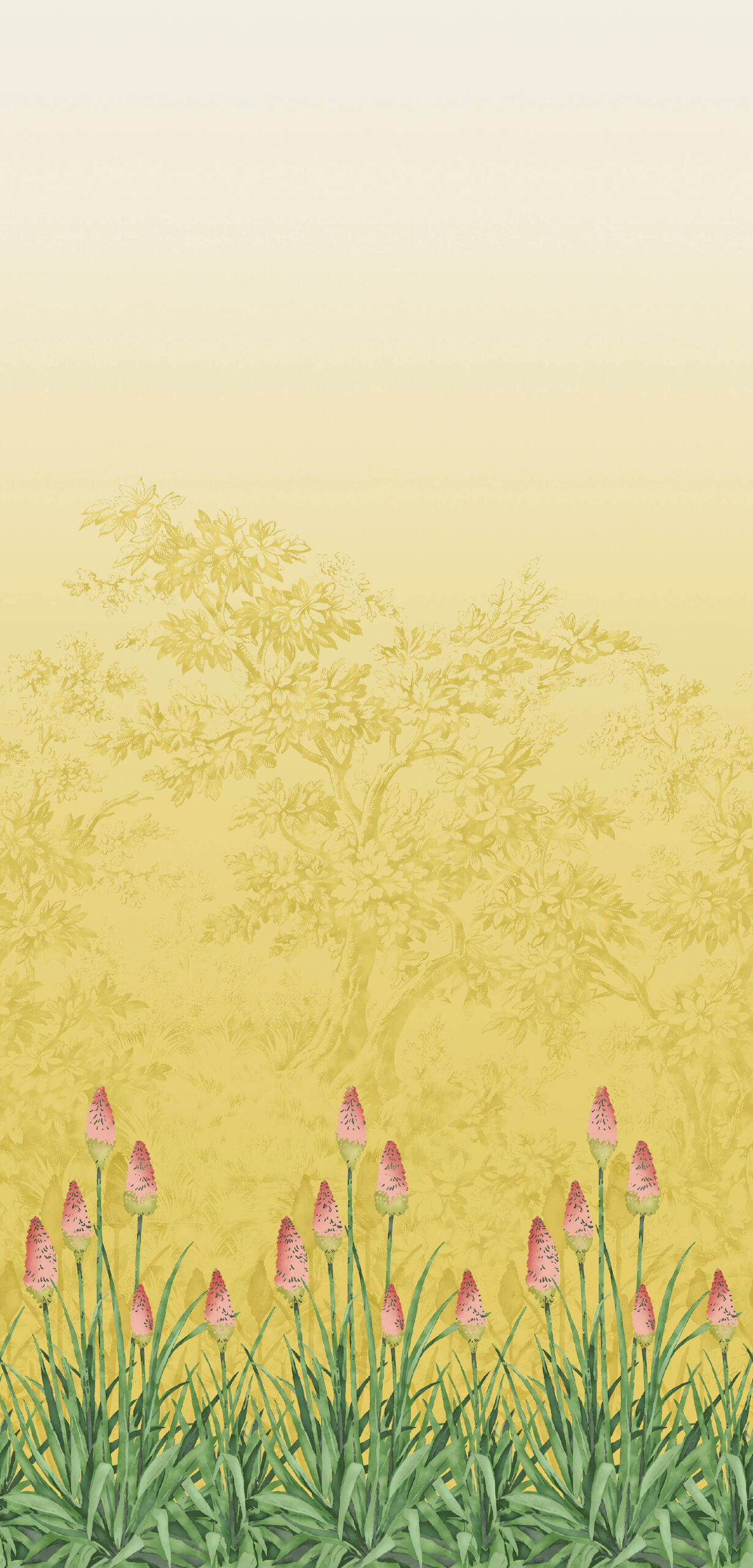 Upper Brook St Soleil